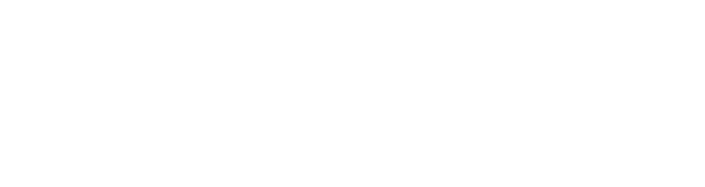 Noble Line Logistics LLC